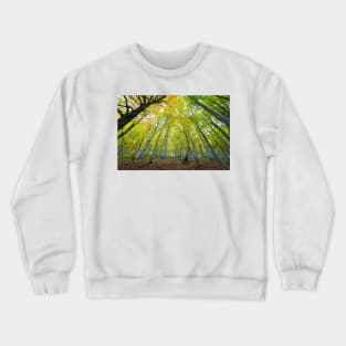 Green beech forest illuminated by the sun, low and wide angle view Crewneck Sweatshirt